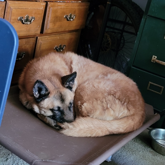 Meet your Posher, Amy - Picture 6 of 10